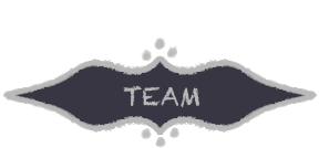 Team banner
