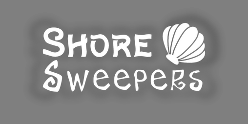 Cover image for Shore Sweepers