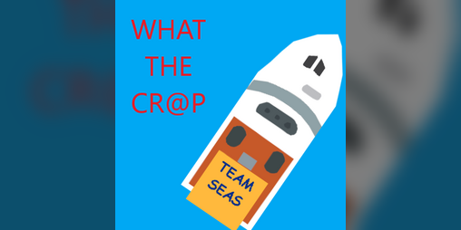 Cover image for WHAT THE CR@P