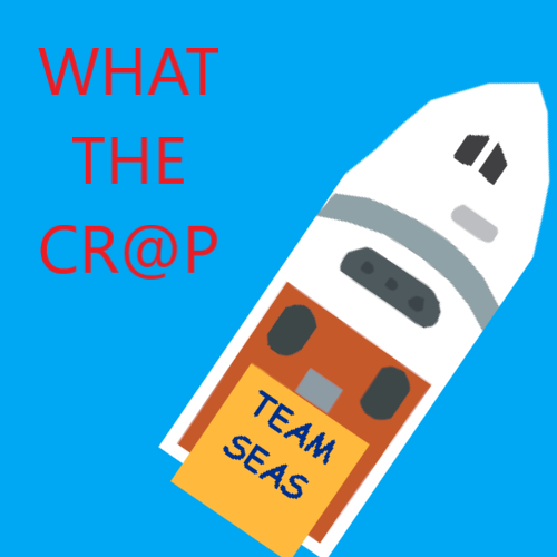 Cover image for WHAT THE CR@P