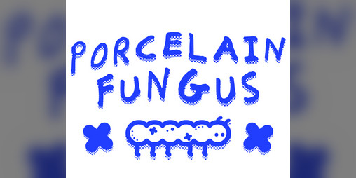 Cover image for Porcelain Fungus