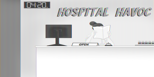 Cover image for Hospital Havoc