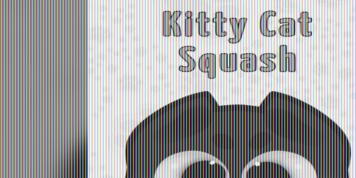 Cover image for Kitty Cat Squash!