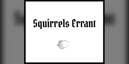 Cover image for Squirrels Errant