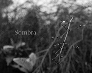 Sombra