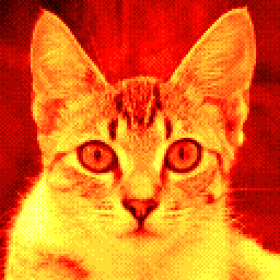 Cat image with cycle overflow effect