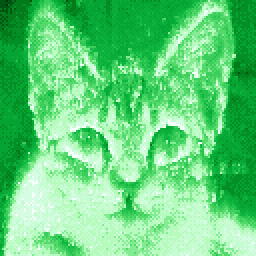 Image de chat avec effet enflammé vert