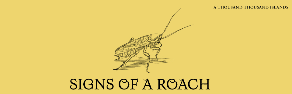 Signs Of A Roach