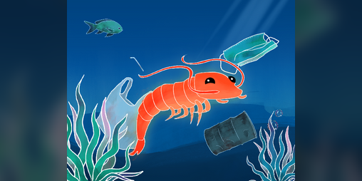 Cover image for OSALIS