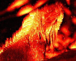 Photo of iguana in flames with ImgFire smoke60
