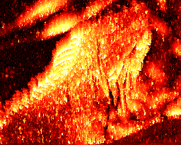 Photo of iguana in flames with ImgFire smoke30