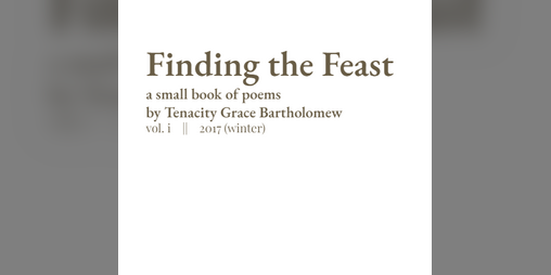 Cover image for Finding the Feast, vol 1