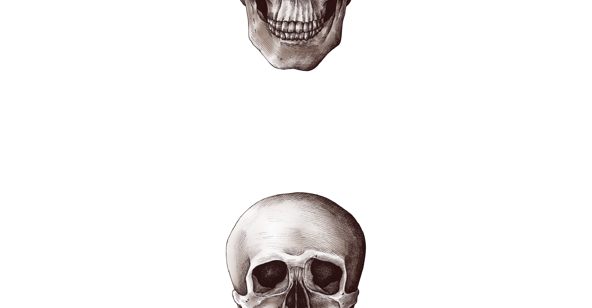 Deadbeats