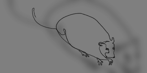 Cover image for portrat