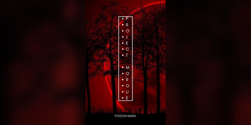 Cover image for Project morgue