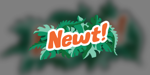 Cover image for Newt!