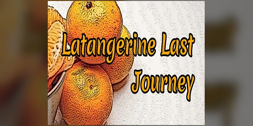 Cover image for Latangerine Last Journey