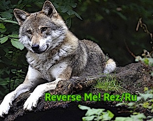 Cover image for Reverse Me! Rez/Ru