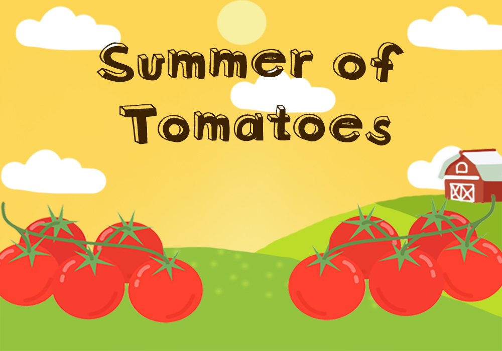 Summer of Tomatoes