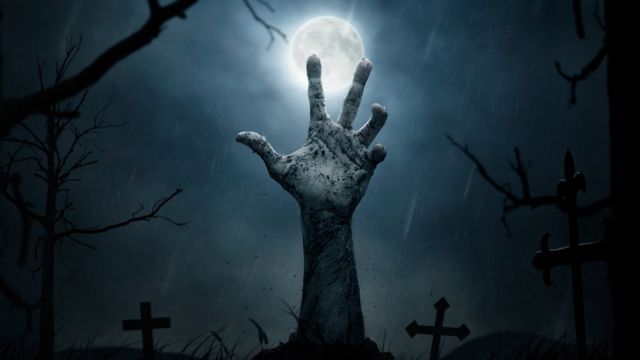 Cover image for The Long Night