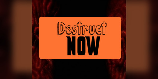 Cover image for Destruct Now