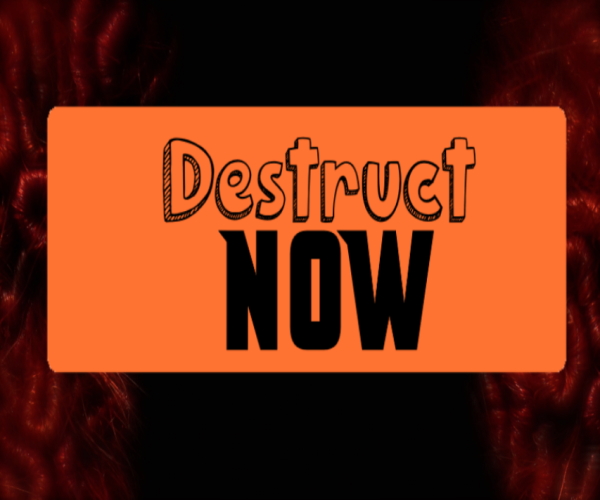 Cover image for Destruct Now