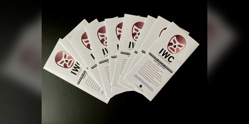 Cover image for International Wrestling Championship