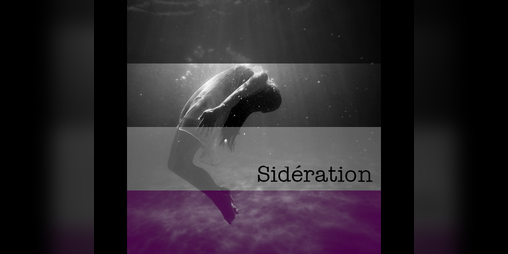 Cover image for Sidération