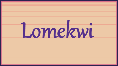 Cover image for Lomekwi