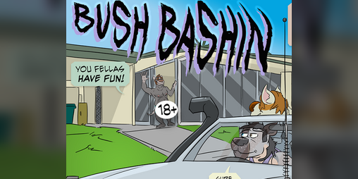 Cover image for BUSH BASHIN'
