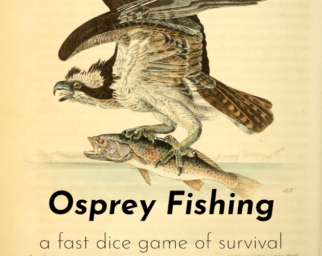 Cover image for Osprey Fishing