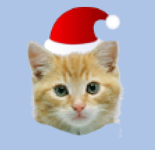 Jingle Cats VS Dogs