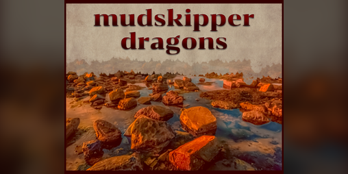 Cover image for Mudskipper Dragons