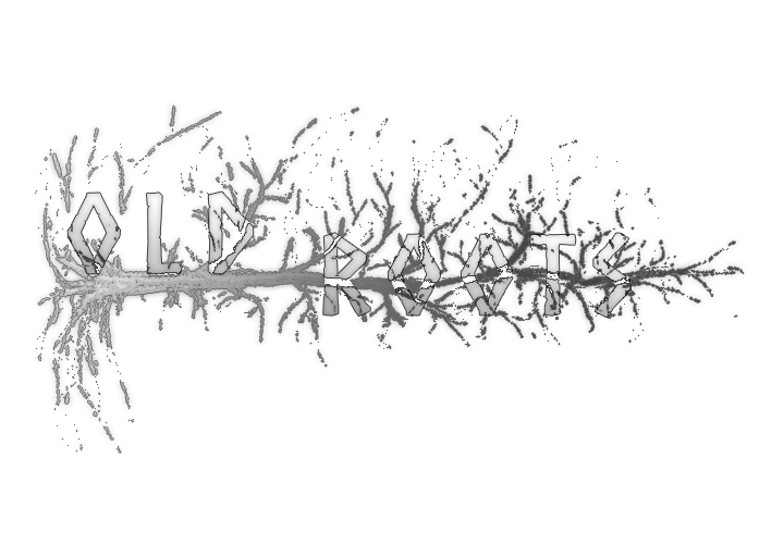 Cover image for Old Roots