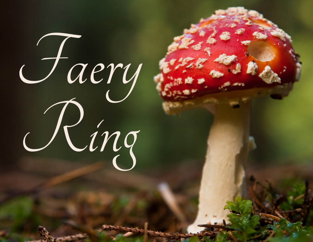 Cover image for Faery Ring