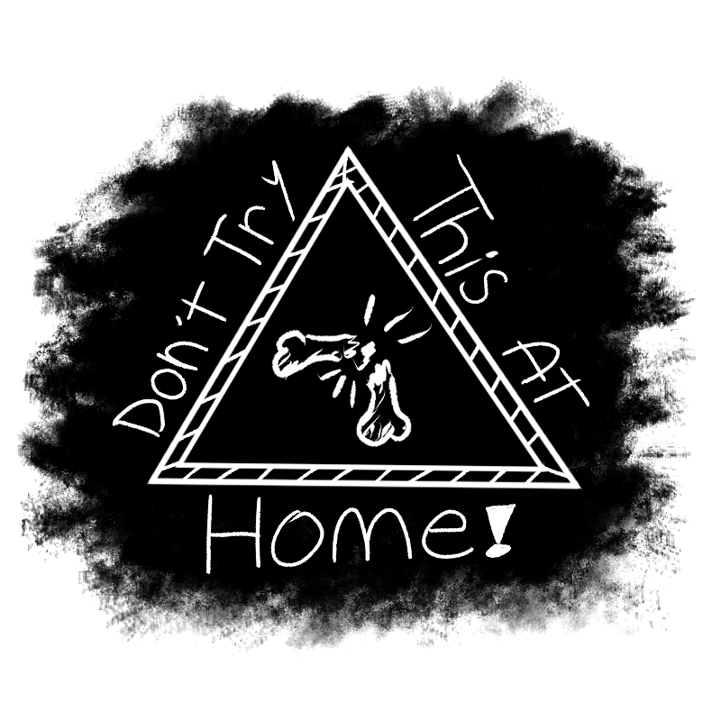 Cover image for Don't Try This At Home!