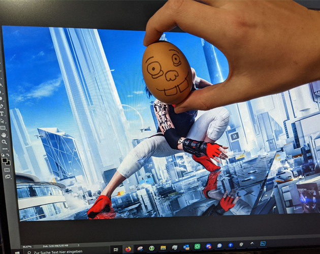Mirrors Egg cover