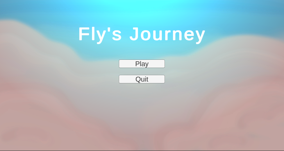Fly's Journey