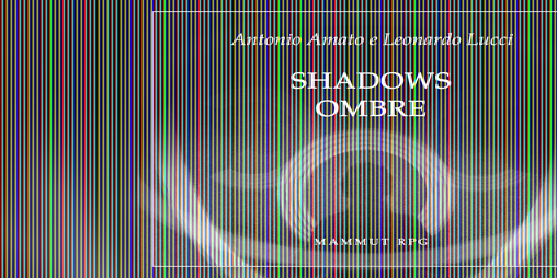 Cover image for Shadows - Ombre