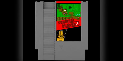 Cover image for Squirrel Chaser