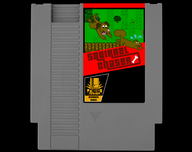 Cover image for Squirrel Chaser