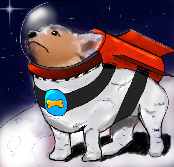 SpaceDog Millionaire