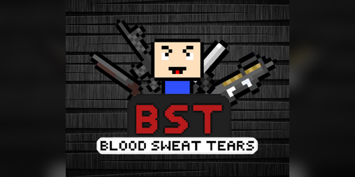 Cover image for BST (Blood Sweat And Tears)
