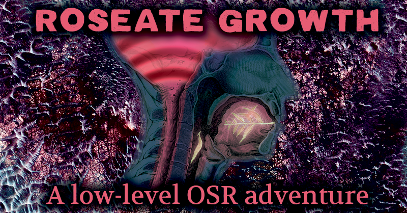 Cover image for Roseate Growth