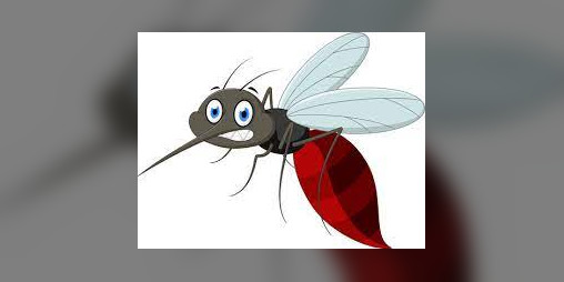 Cover image for Beat The Mosquito