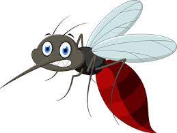 Cover image for Beat The Mosquito