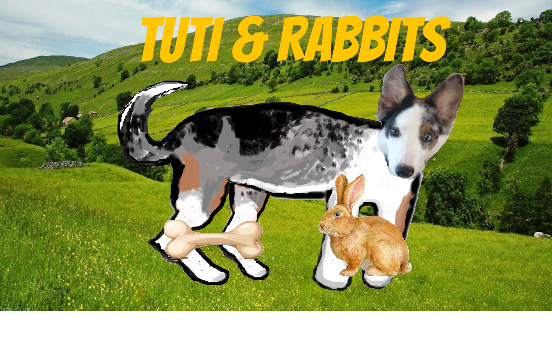 Tutti and Rabbits