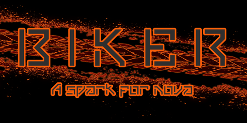 Cover image for THE BIKER