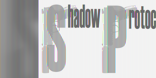 Cover image for Shadow Protocol