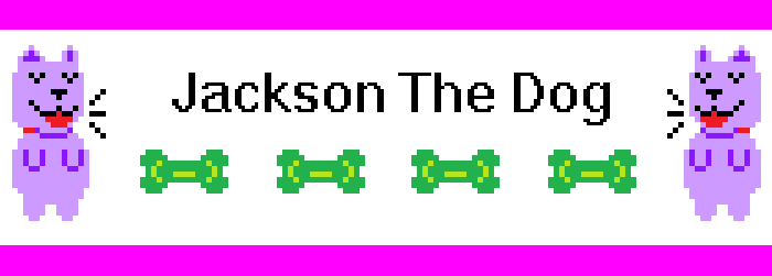 Jackson The Dog